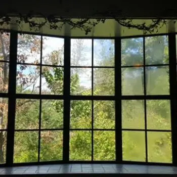 Large windows overlooking green landscape