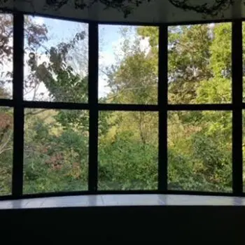 Large curved window forest view